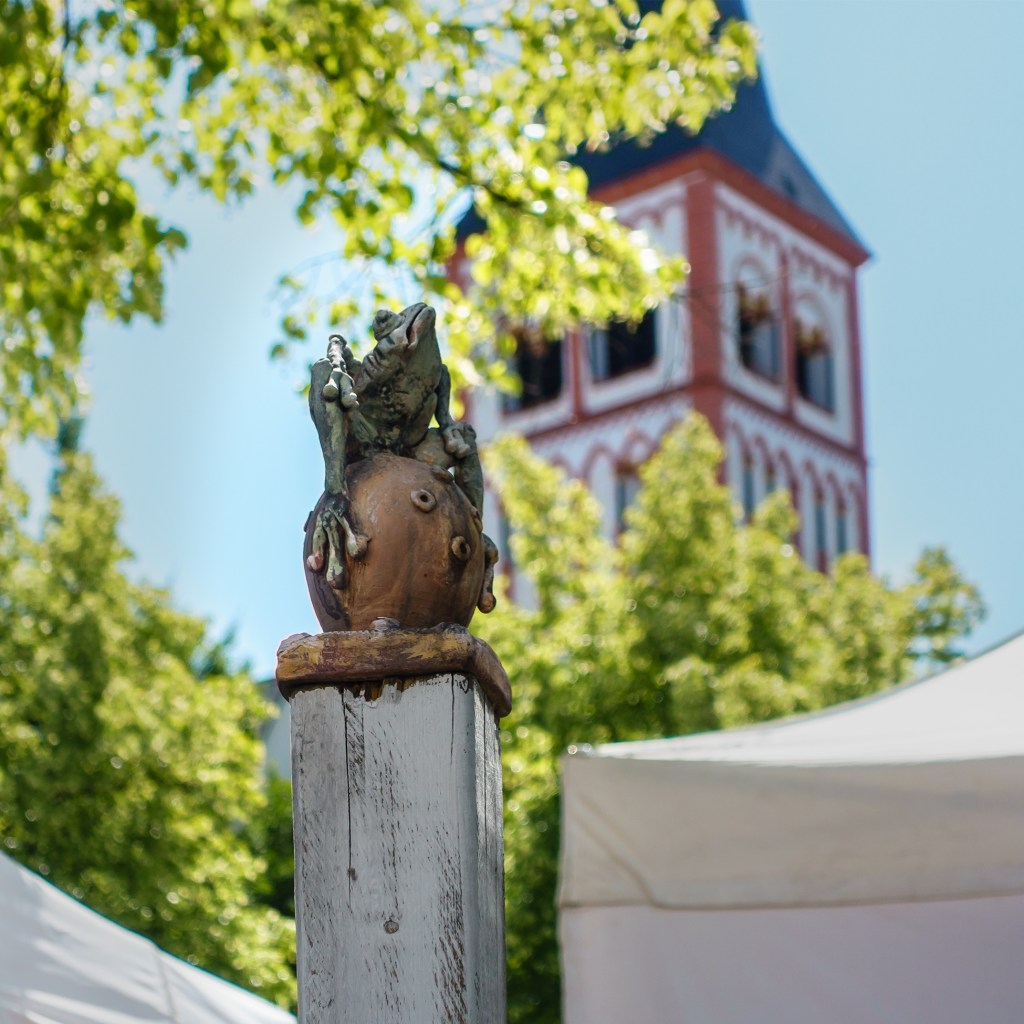 Frosch in Siegburg